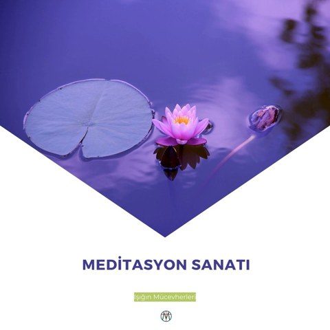 Meditasyon Sanatı